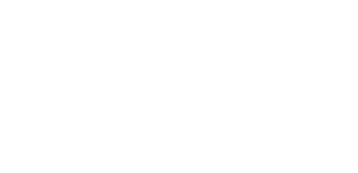 himss